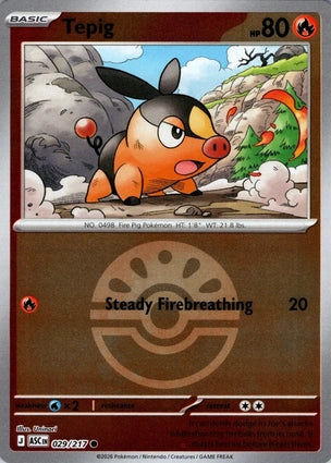 ASC029/217 - Tepig Friend Ball Reverse Holo