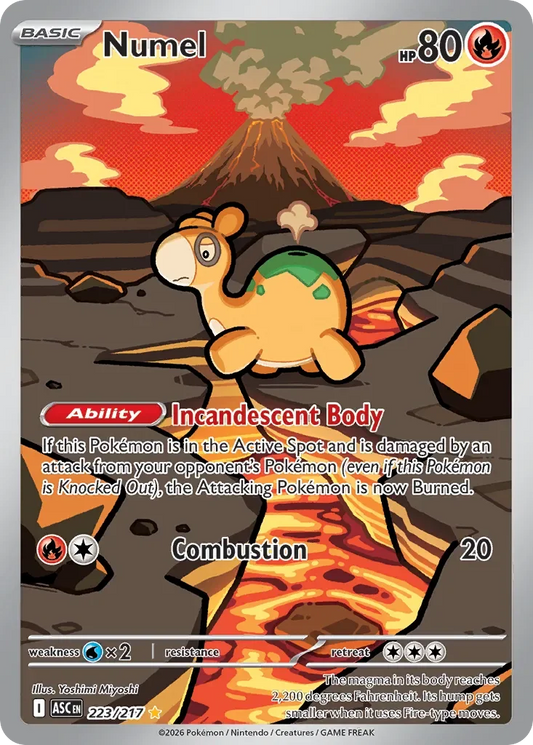 ASC223/217 - Numel