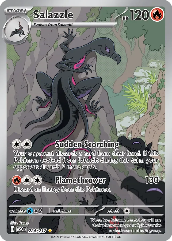 ASC224/217 - Salazzle