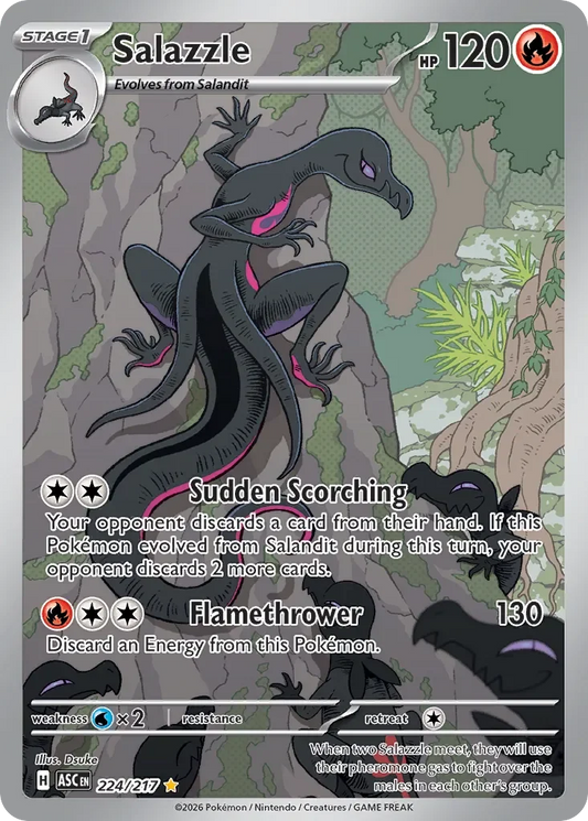 ASC224/217 - Salazzle