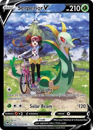 SITTG13/TG30 - Serperior V