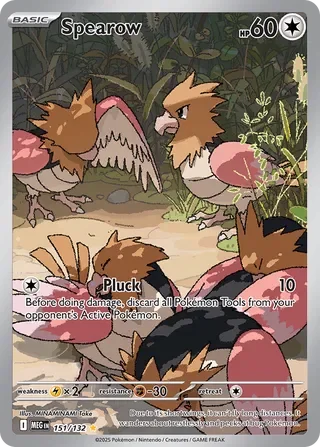 MEG151/132 - Spearow